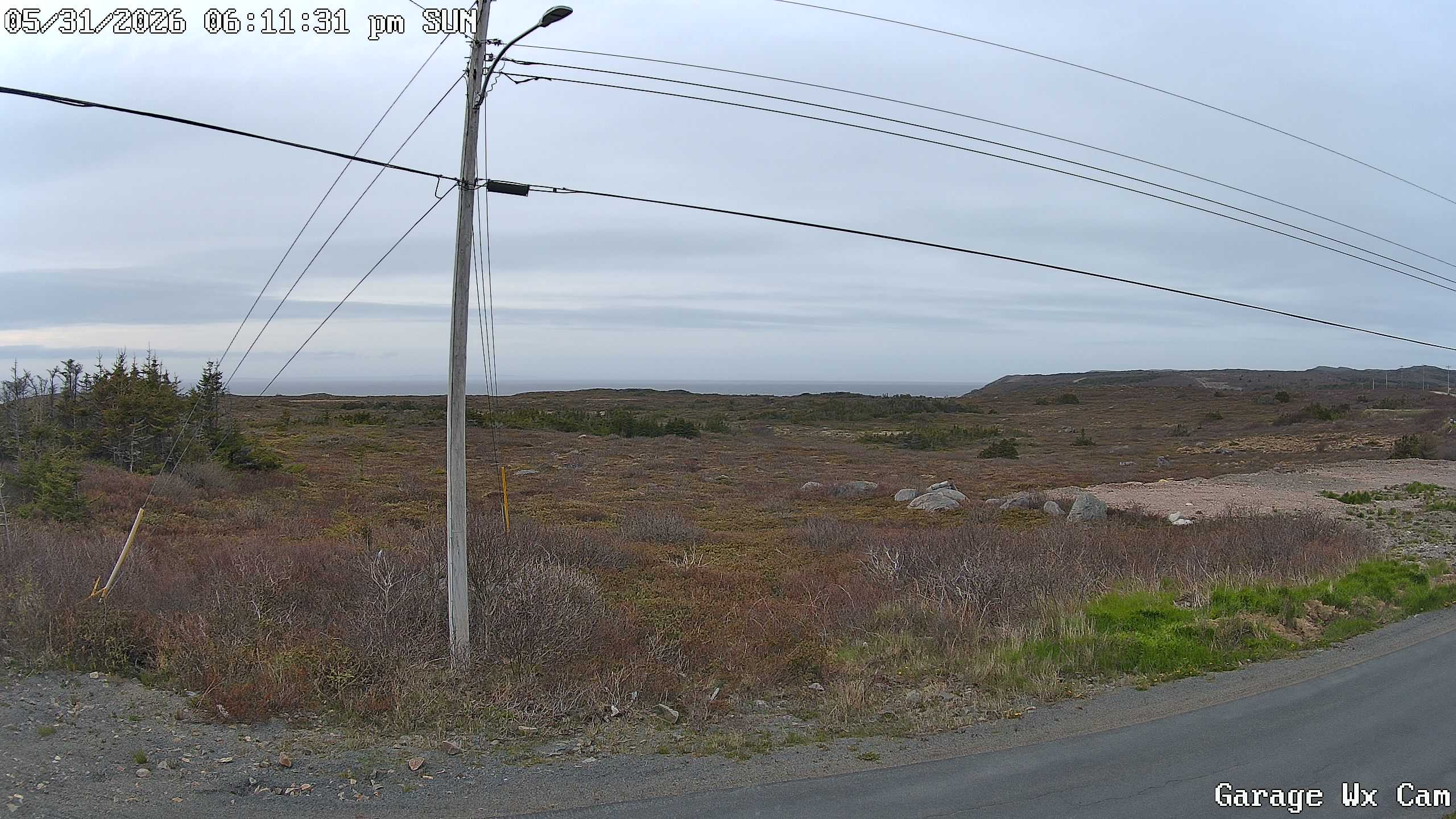 Current Image